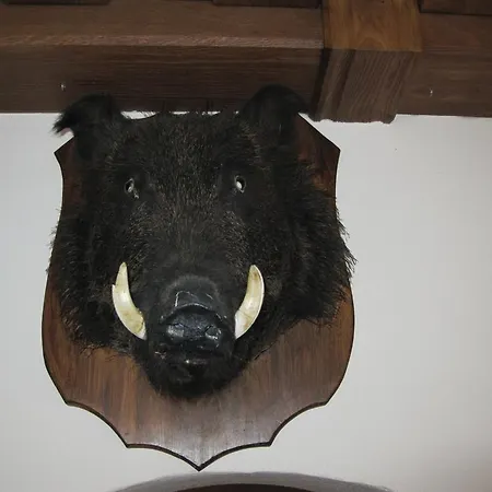 Schloss Schaenke Garni Bautzen