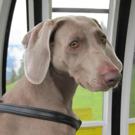 Pensión Schloss Schaenke Garni 3*