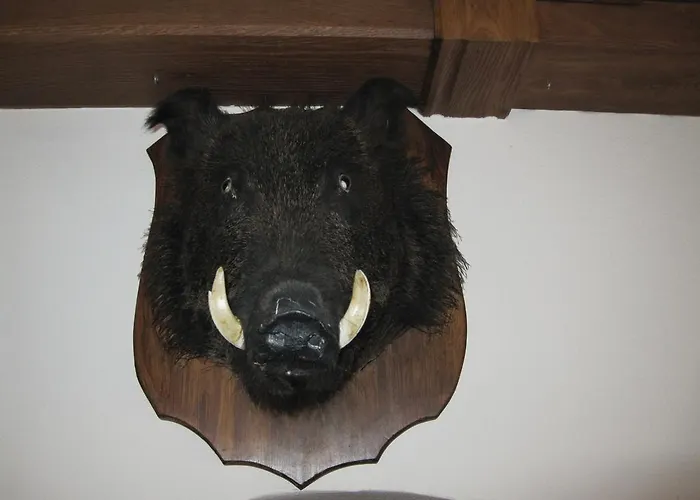 Schloss Schaenke Garni Bautzen