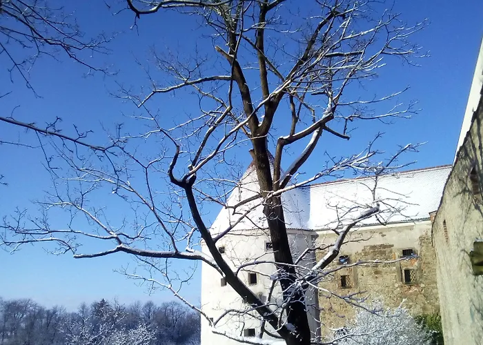 Schloss Schaenke Garni Guest house