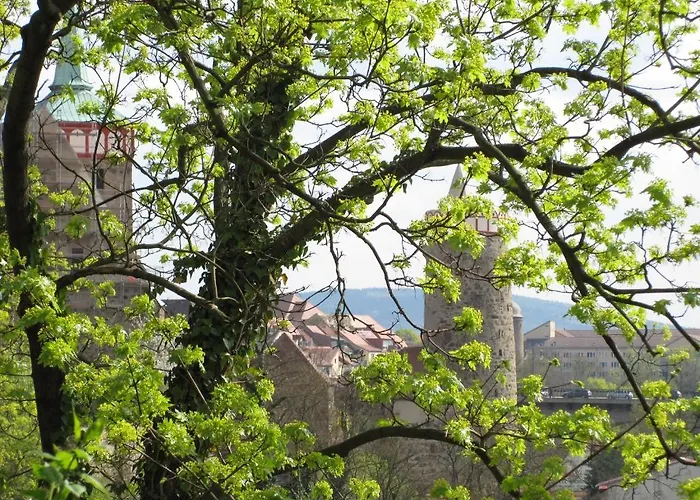 Guest house Schloss Schaenke Garni 3*